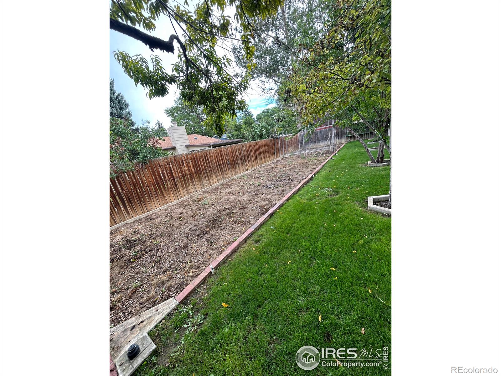 MLS Image #21 for 1566  mayfield lane,longmont, Colorado