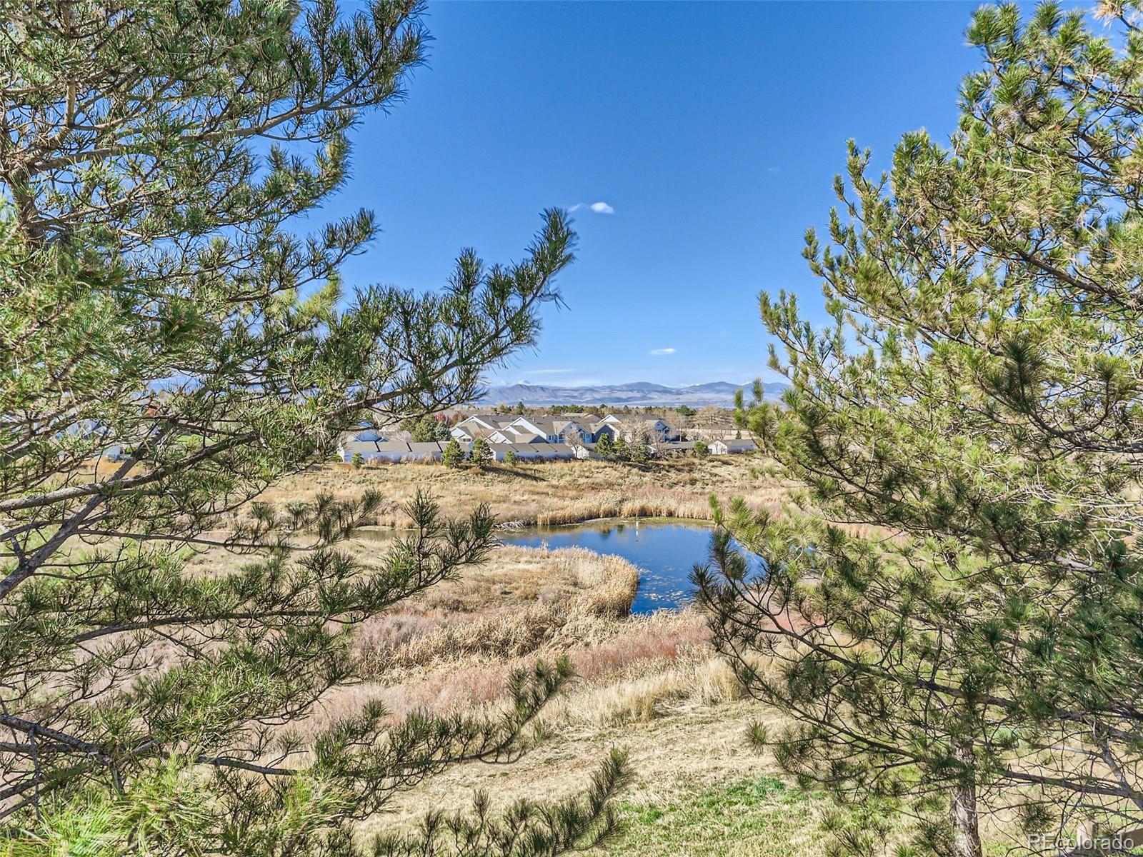 MLS Image #19 for 8405  pebble  creek way,highlands ranch, Colorado