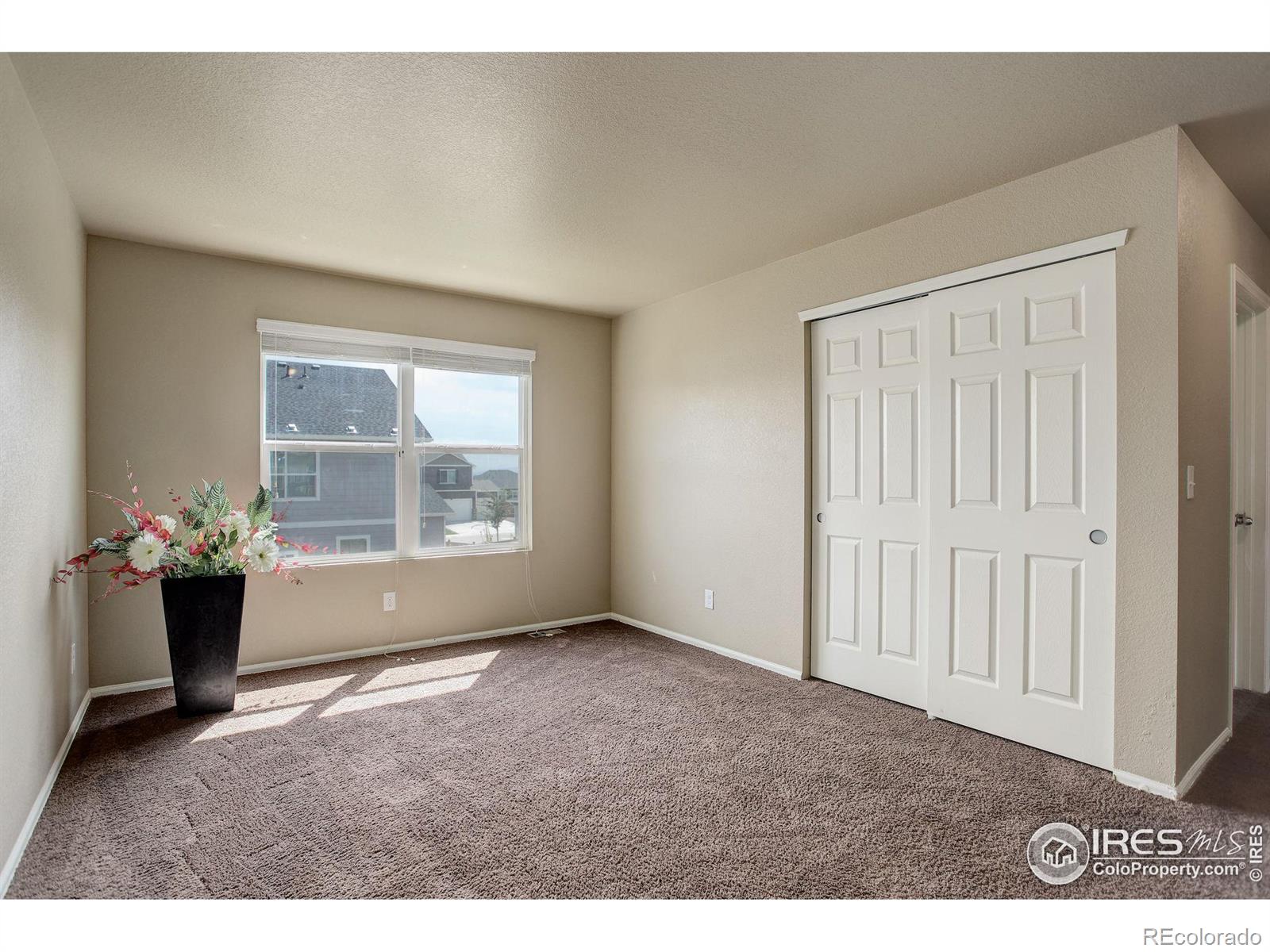 MLS Image #12 for 3635  torch lily street,wellington, Colorado