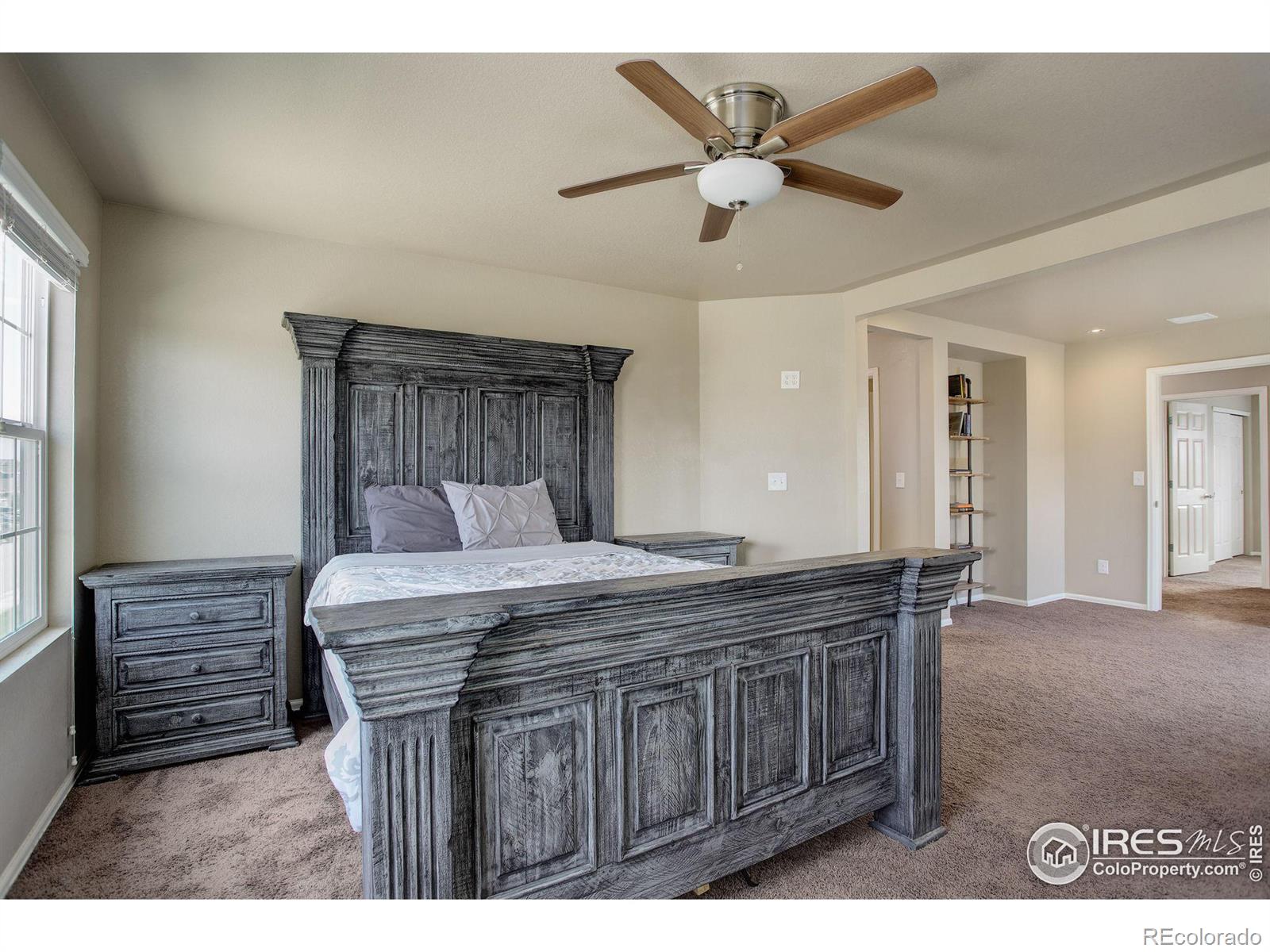 MLS Image #14 for 3635  torch lily street,wellington, Colorado