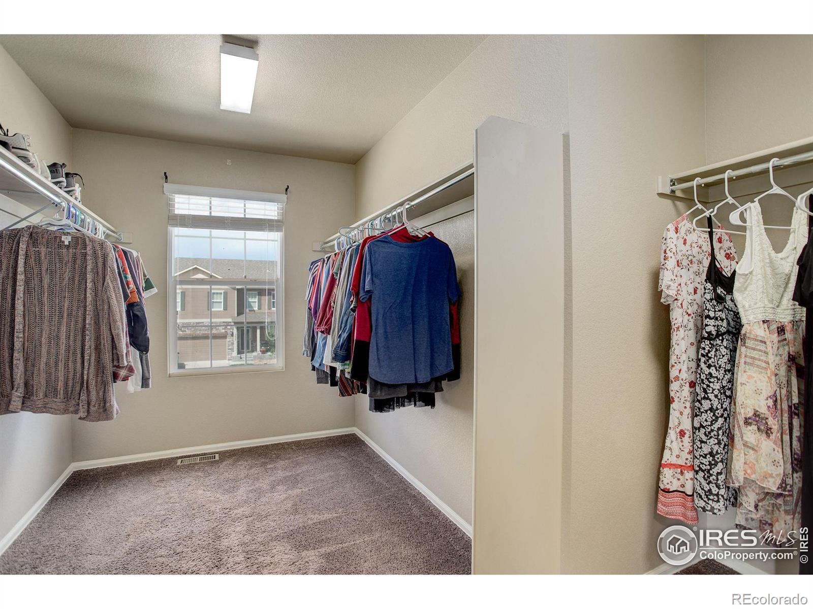 MLS Image #20 for 3635  torch lily street,wellington, Colorado