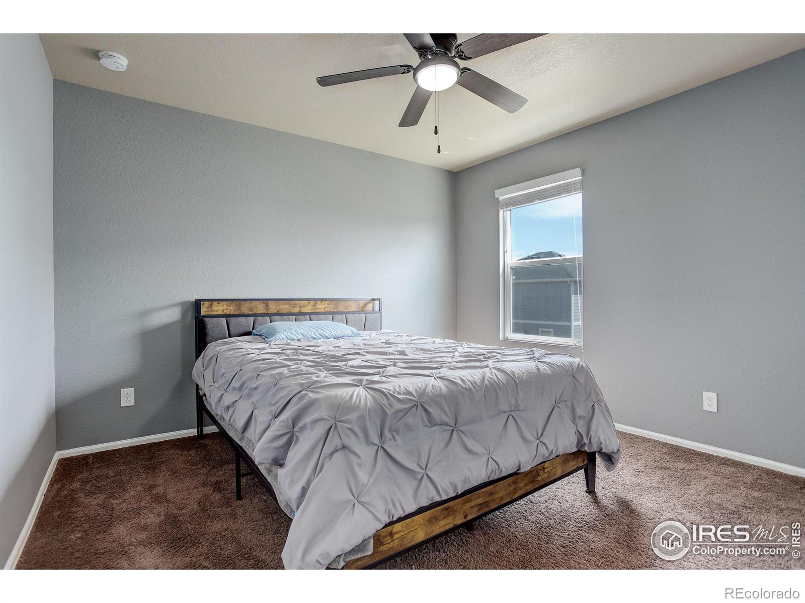 MLS Image #27 for 3635  torch lily street,wellington, Colorado