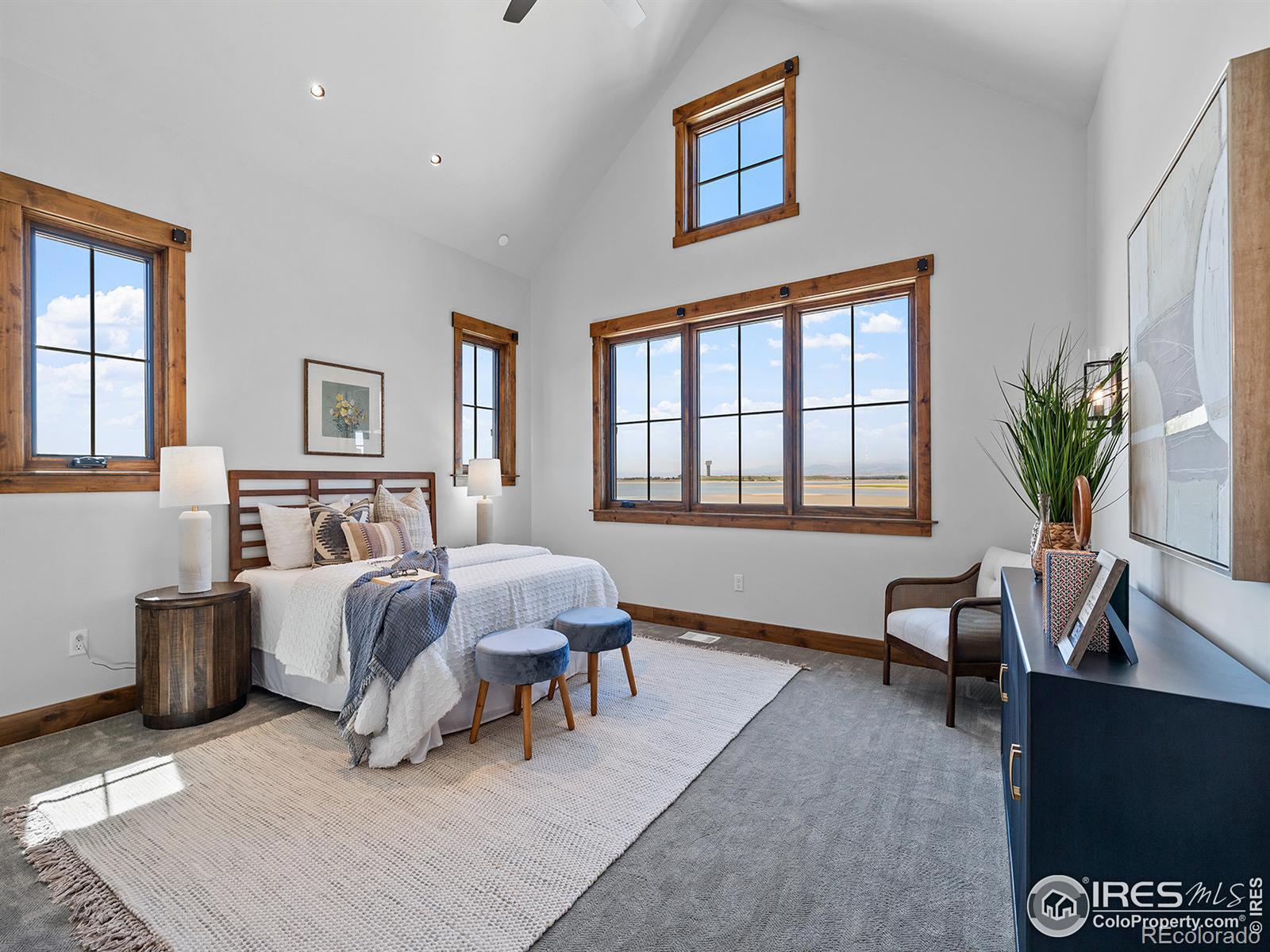 MLS Image #19 for 2823  majestic view drive,timnath, Colorado