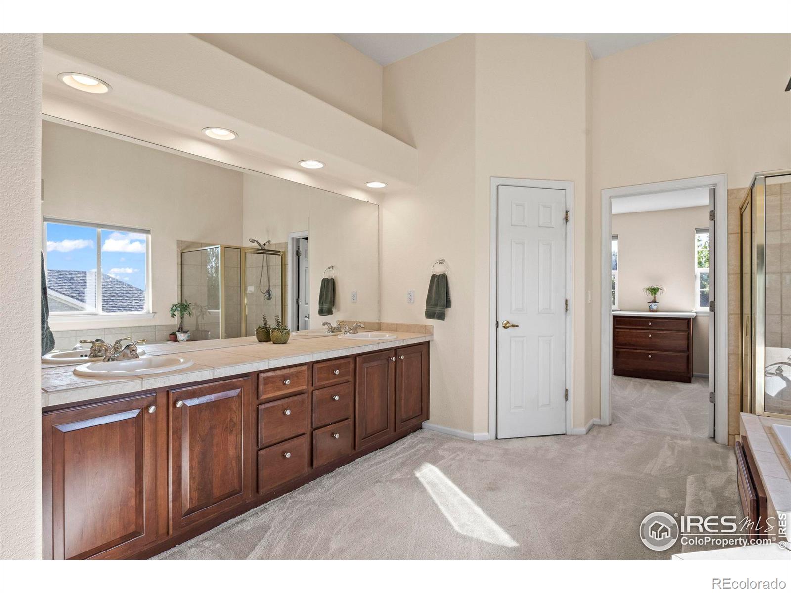 MLS Image #12 for 11711  elmer linn drive,longmont, Colorado