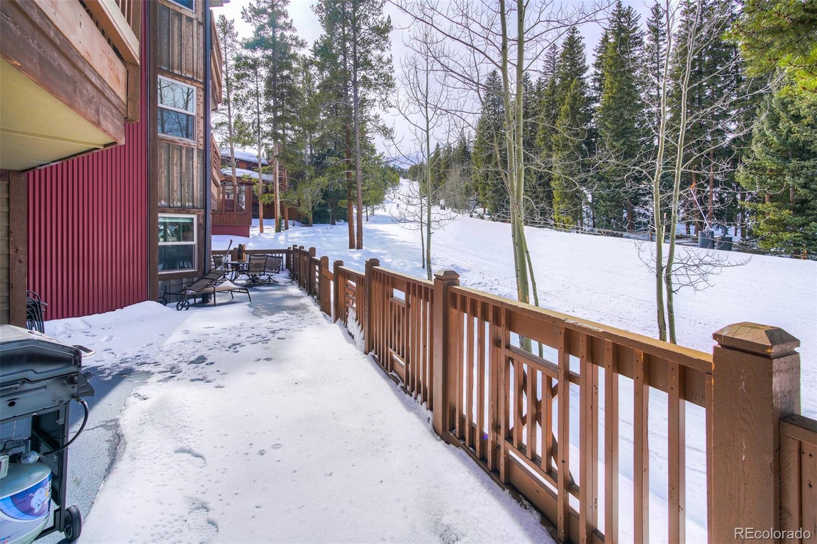 MLS Image #14 for 840  four o clock road,breckenridge, Colorado