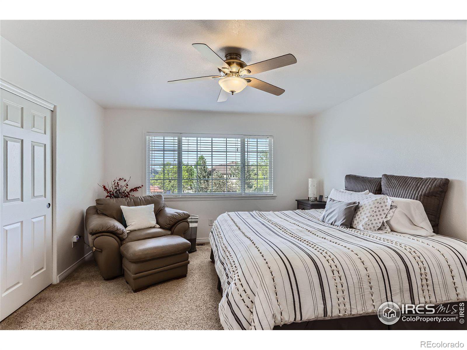 MLS Image #19 for 5419  cannon mountain way,longmont, Colorado