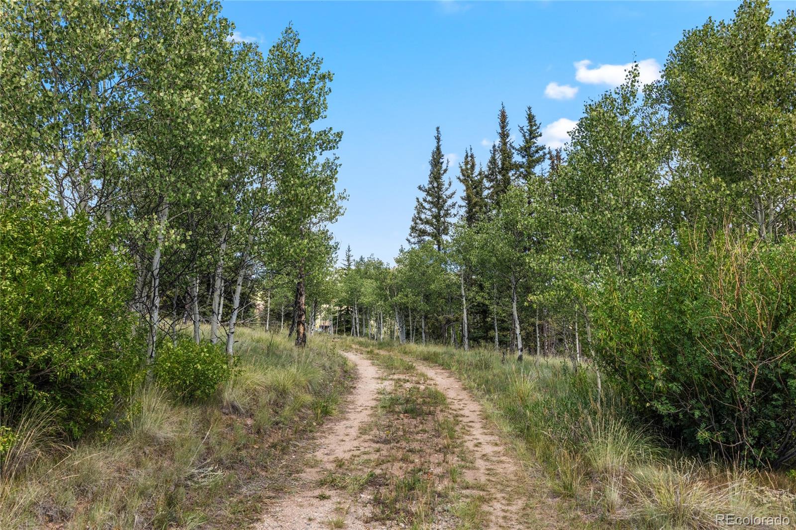 MLS Image #9 for 3439  stagestop road,jefferson, Colorado