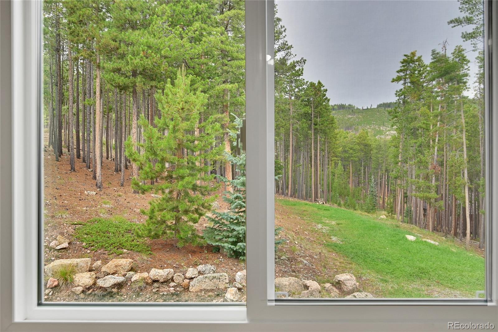 MLS Image #12 for 609  cedar road,evergreen, Colorado