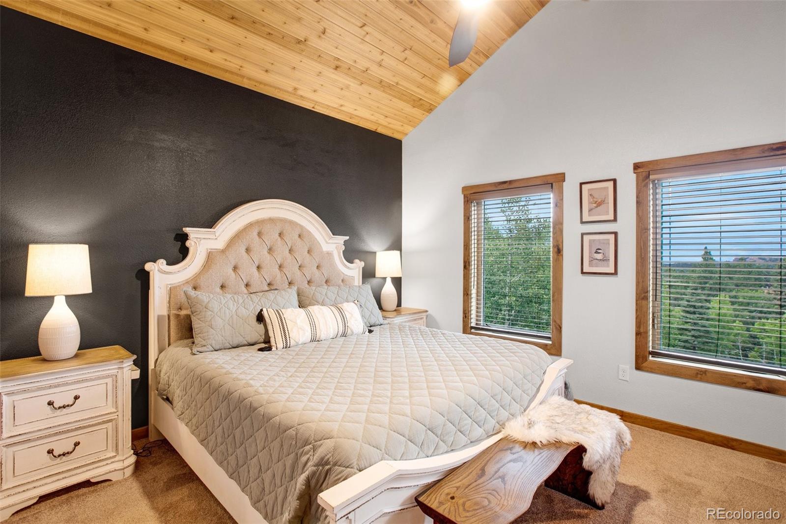 MLS Image #14 for 103  copper mountain drive,cripple creek, Colorado