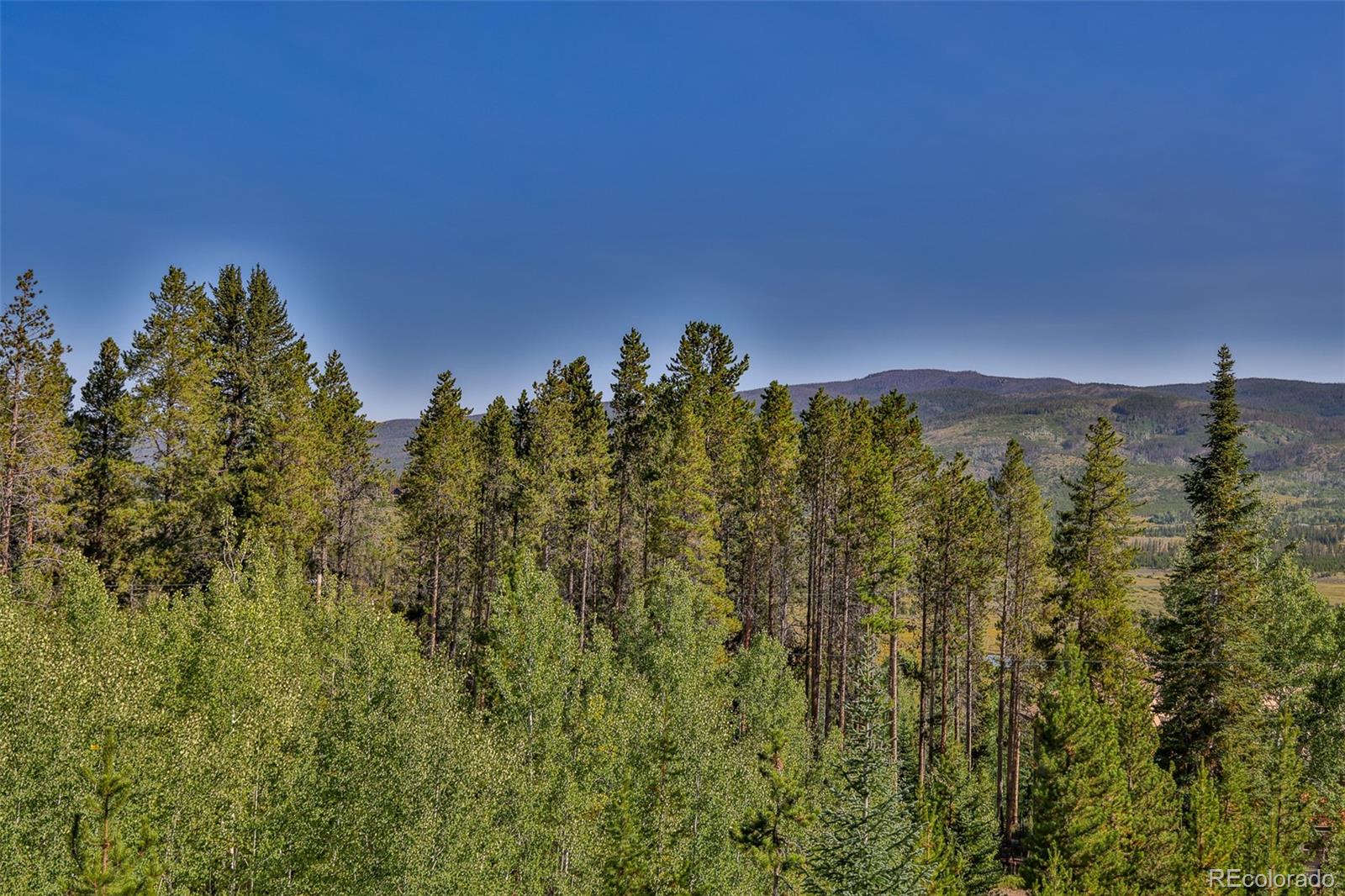 MLS Image #47 for 158  gcr 808 ,fraser, Colorado