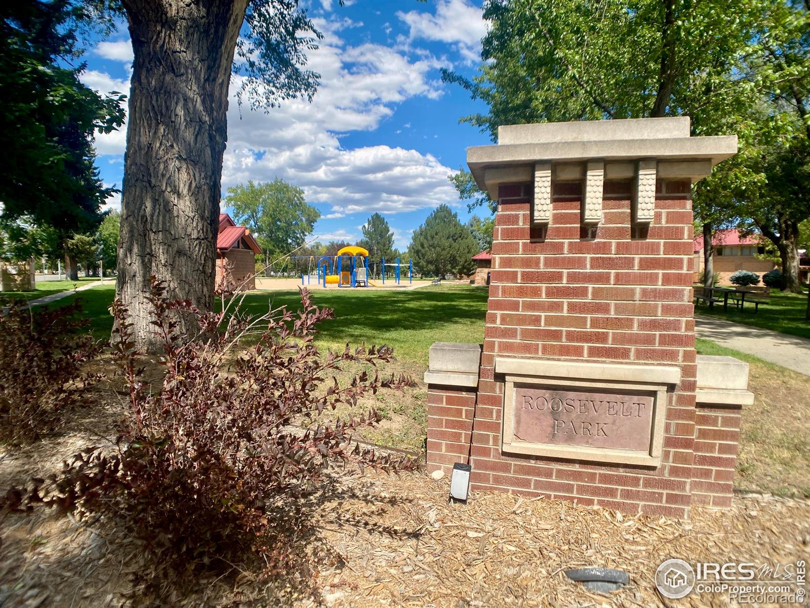 MLS Image #37 for 321  gay street,longmont, Colorado