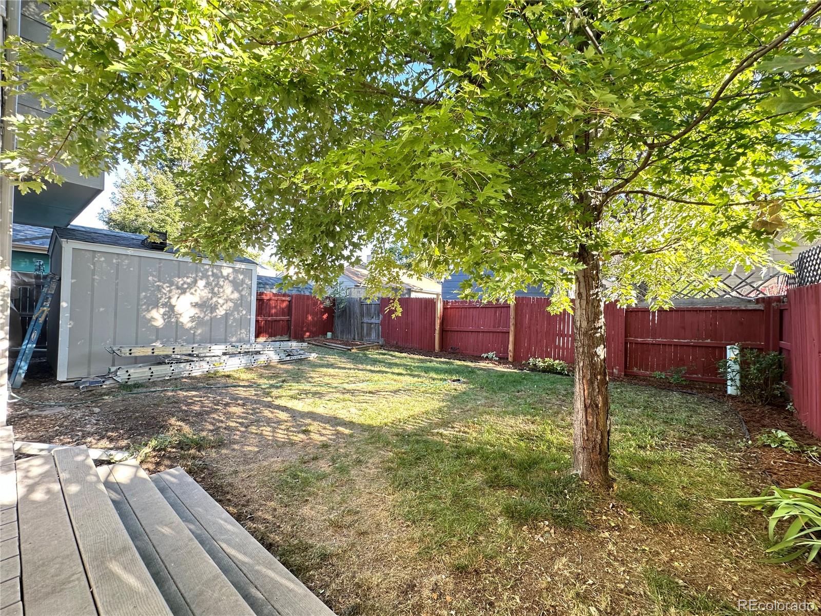 MLS Image #2 for 1615  ervine avenue,longmont, Colorado