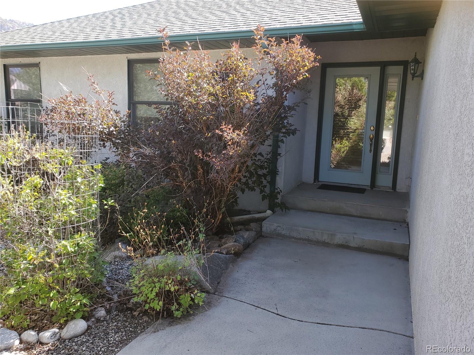 MLS Image #4 for 115  trenton street,buena vista, Colorado