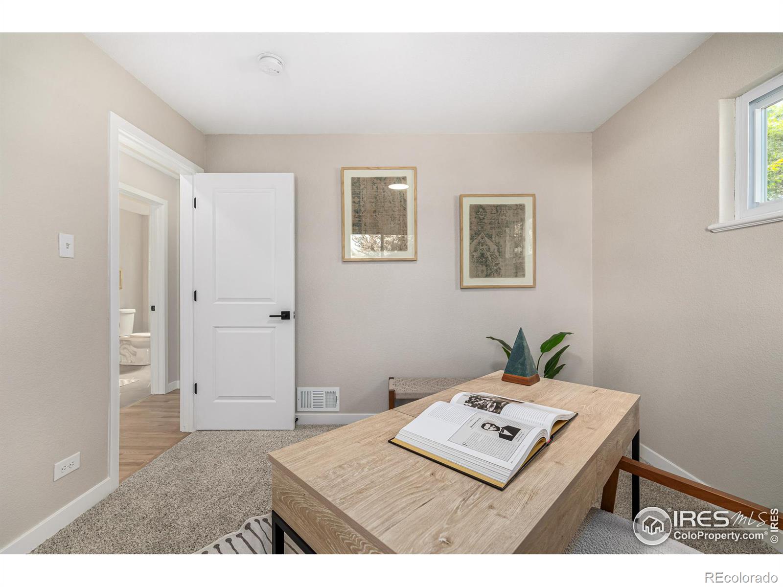 MLS Image #17 for 3645  niagara street,denver, Colorado