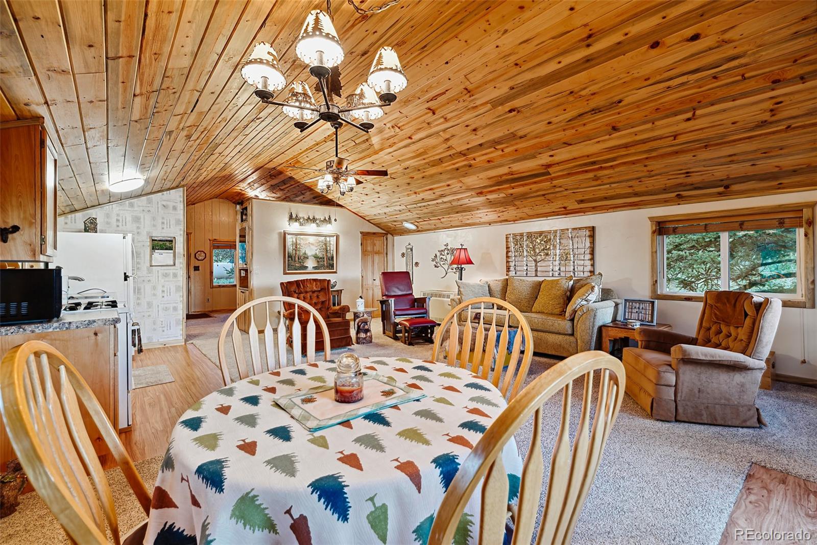 MLS Image #10 for 673  signal ridge road,como, Colorado