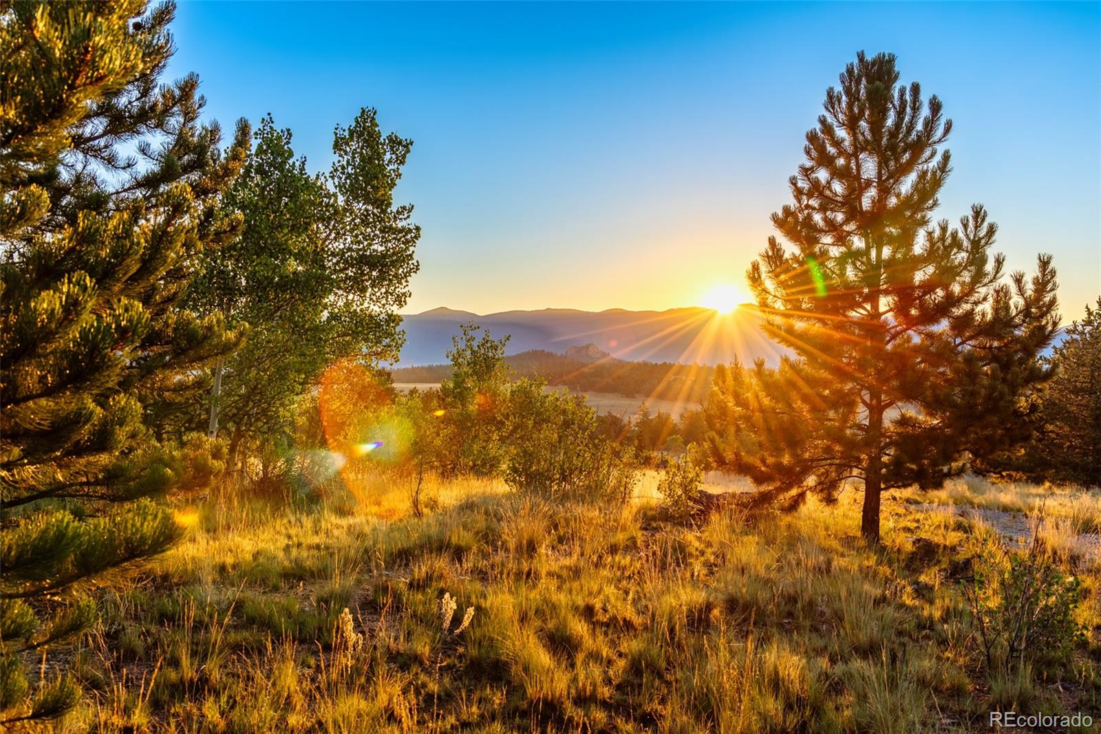 MLS Image #24 for 673  signal ridge road,como, Colorado