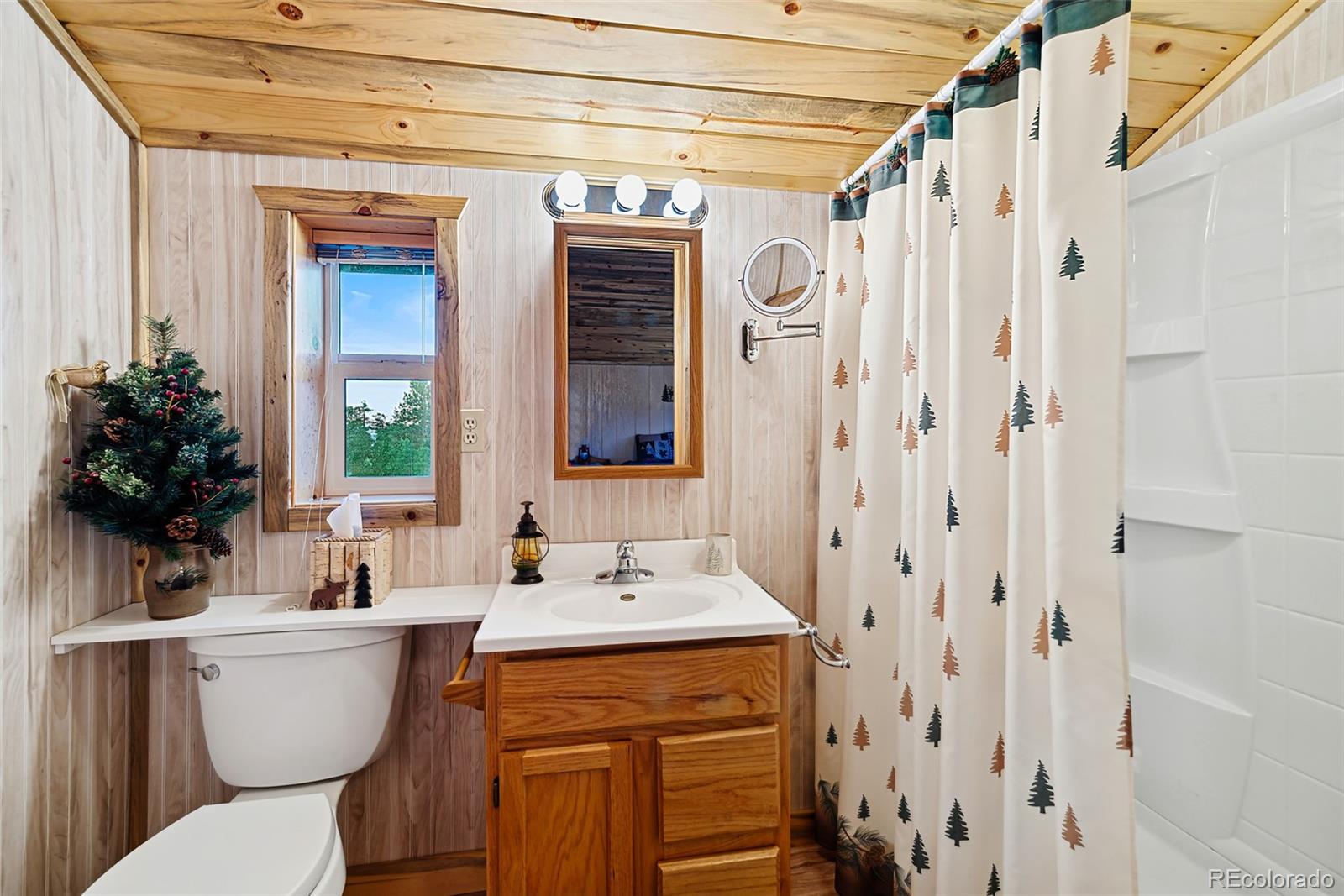 MLS Image #3 for 673  signal ridge road,como, Colorado