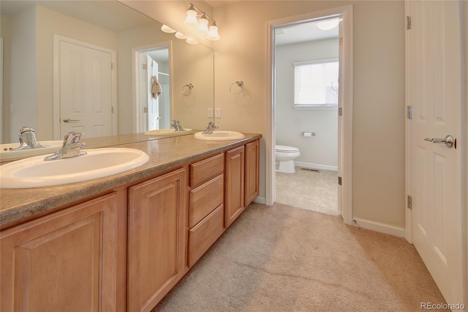 MLS Image #18 for 17004  blue mist grove,monument, Colorado