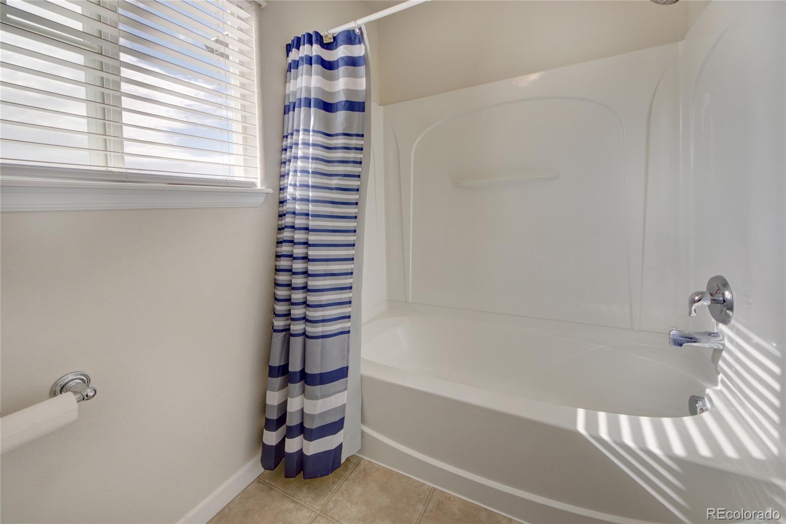MLS Image #19 for 17004  blue mist grove,monument, Colorado