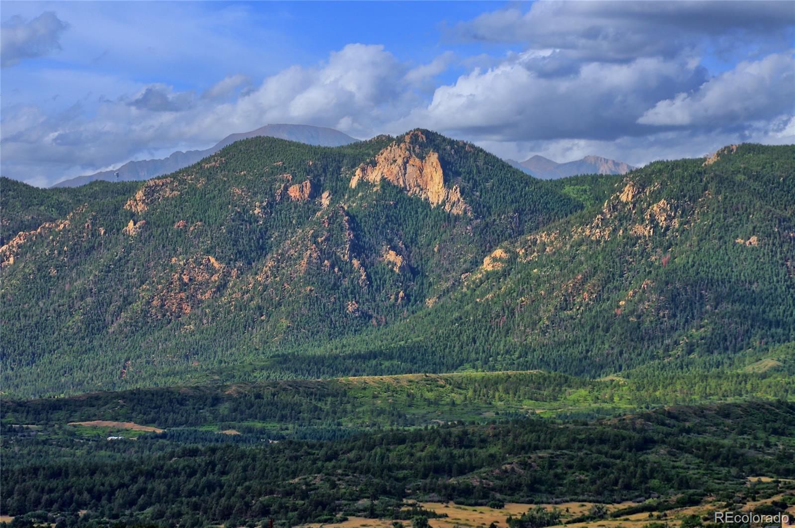 MLS Image #25 for 17004  blue mist grove,monument, Colorado