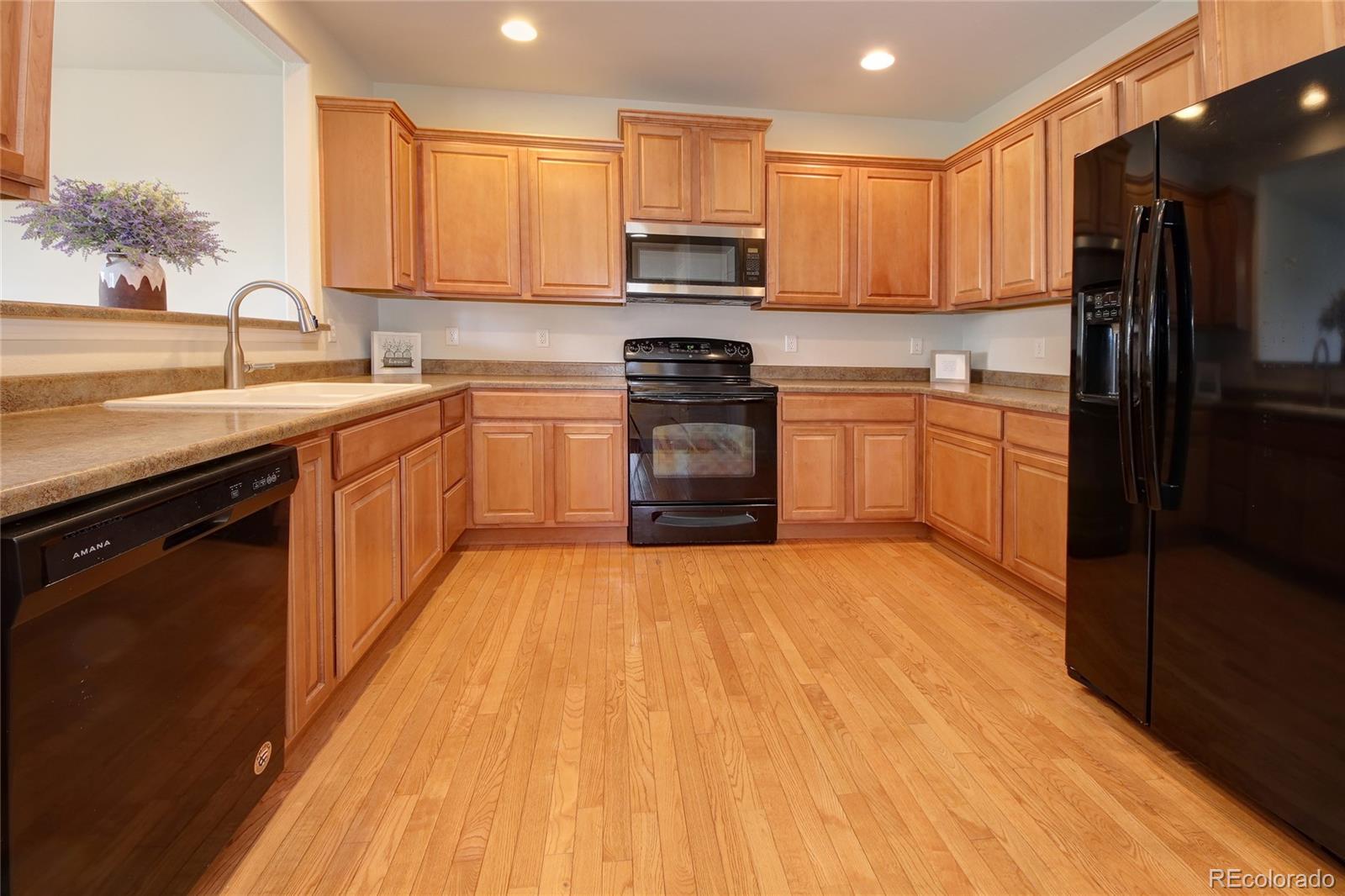 MLS Image #8 for 17004  blue mist grove,monument, Colorado