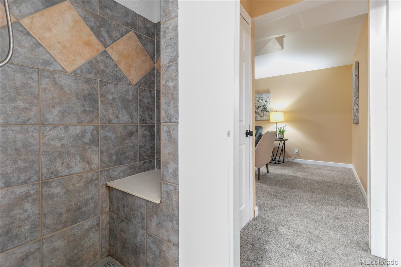 MLS Image #27 for 10522  franklin street,northglenn, Colorado
