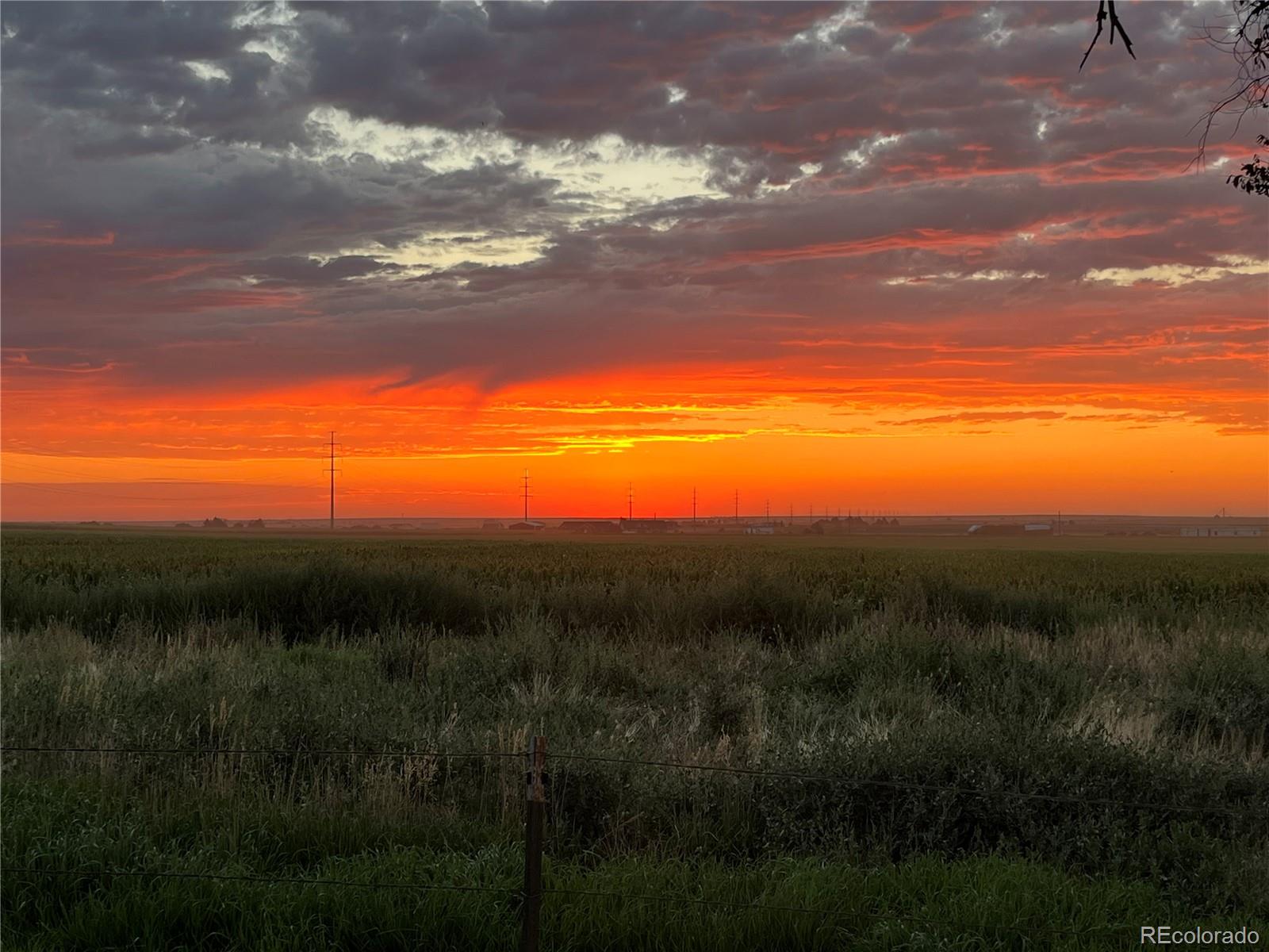 MLS Image #29 for 1598  county road 59 ,keenesburg, Colorado