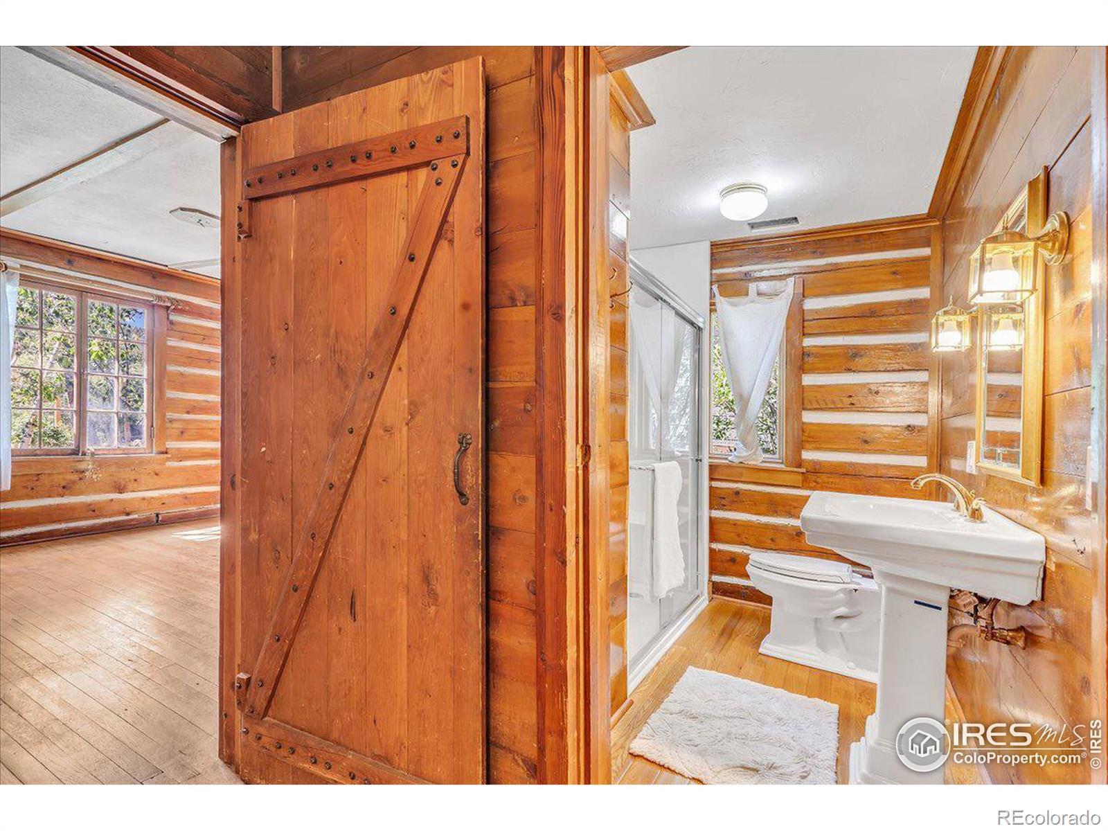 MLS Image #22 for 166 w 1st street,nederland, Colorado