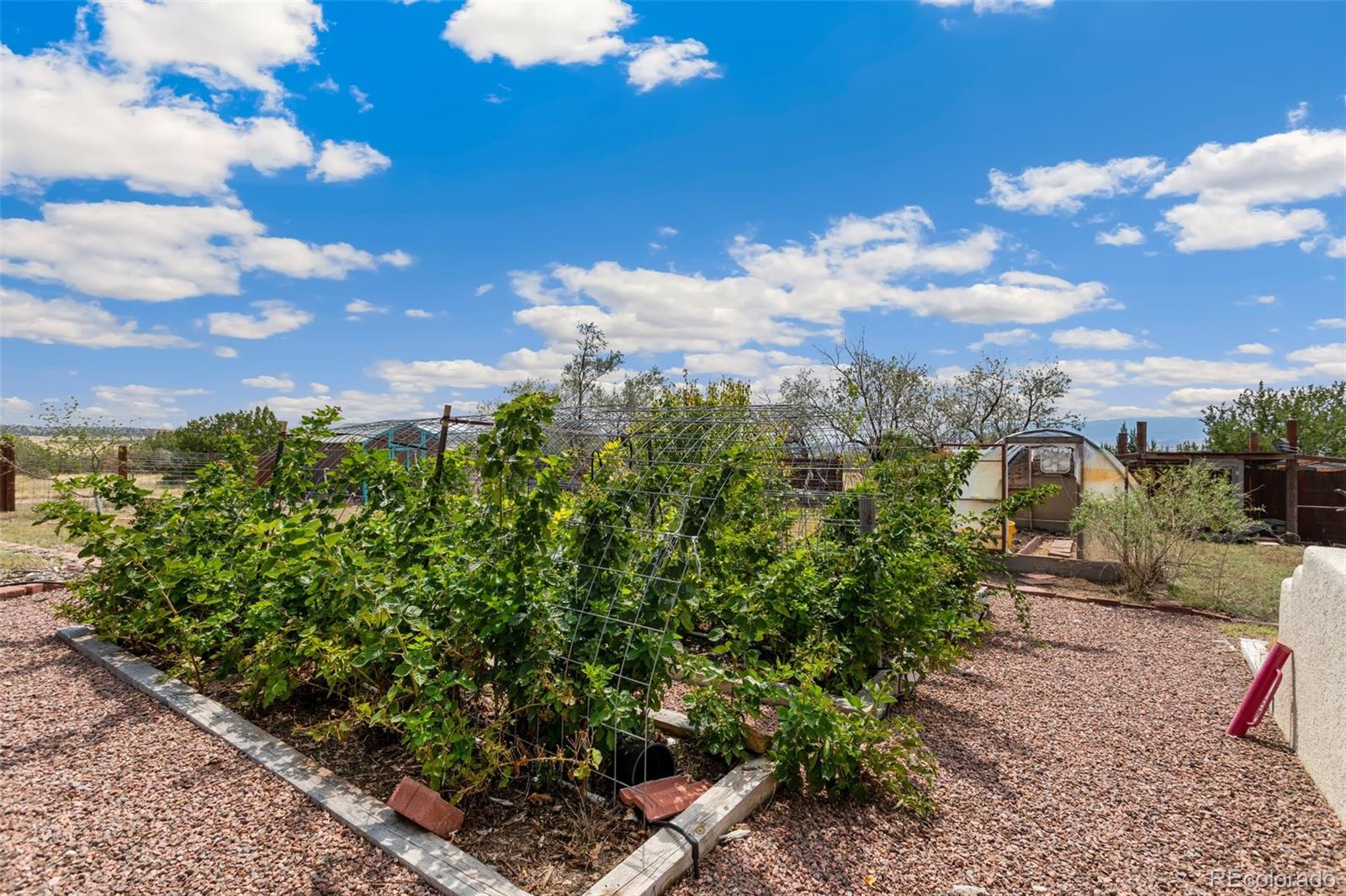 MLS Image #37 for 1011  barnes lane,penrose, Colorado