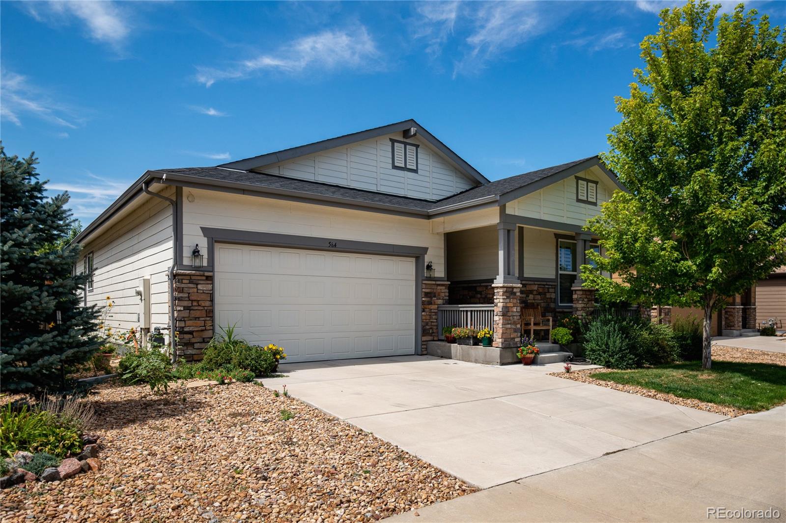 MLS Image #14 for 564  tippen place,castle rock, Colorado