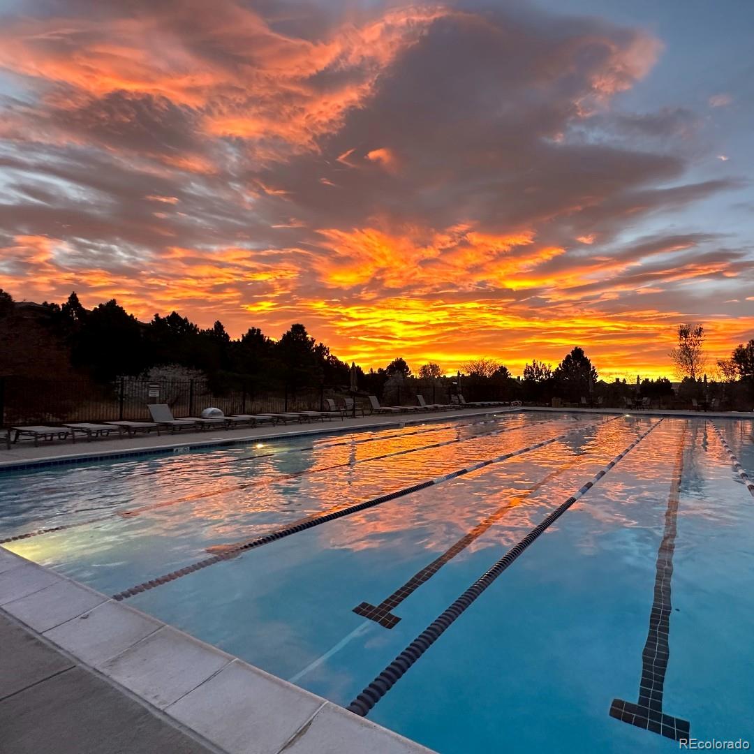 MLS Image #40 for 8017  parnassus place,castle rock, Colorado