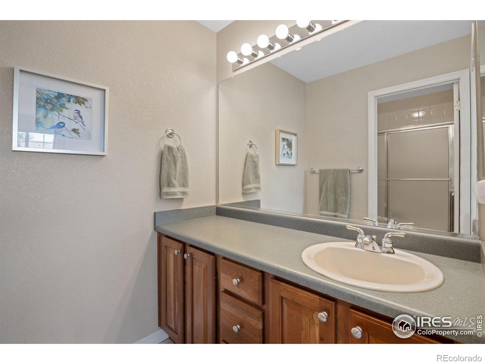 MLS Image #25 for 6238  clymer circle,fort collins, Colorado