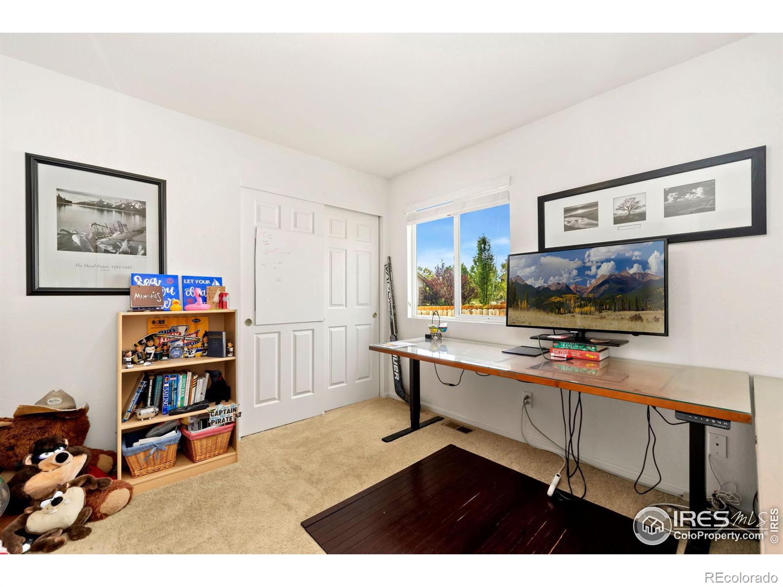 MLS Image #12 for 1615  tiger avenue,loveland, Colorado