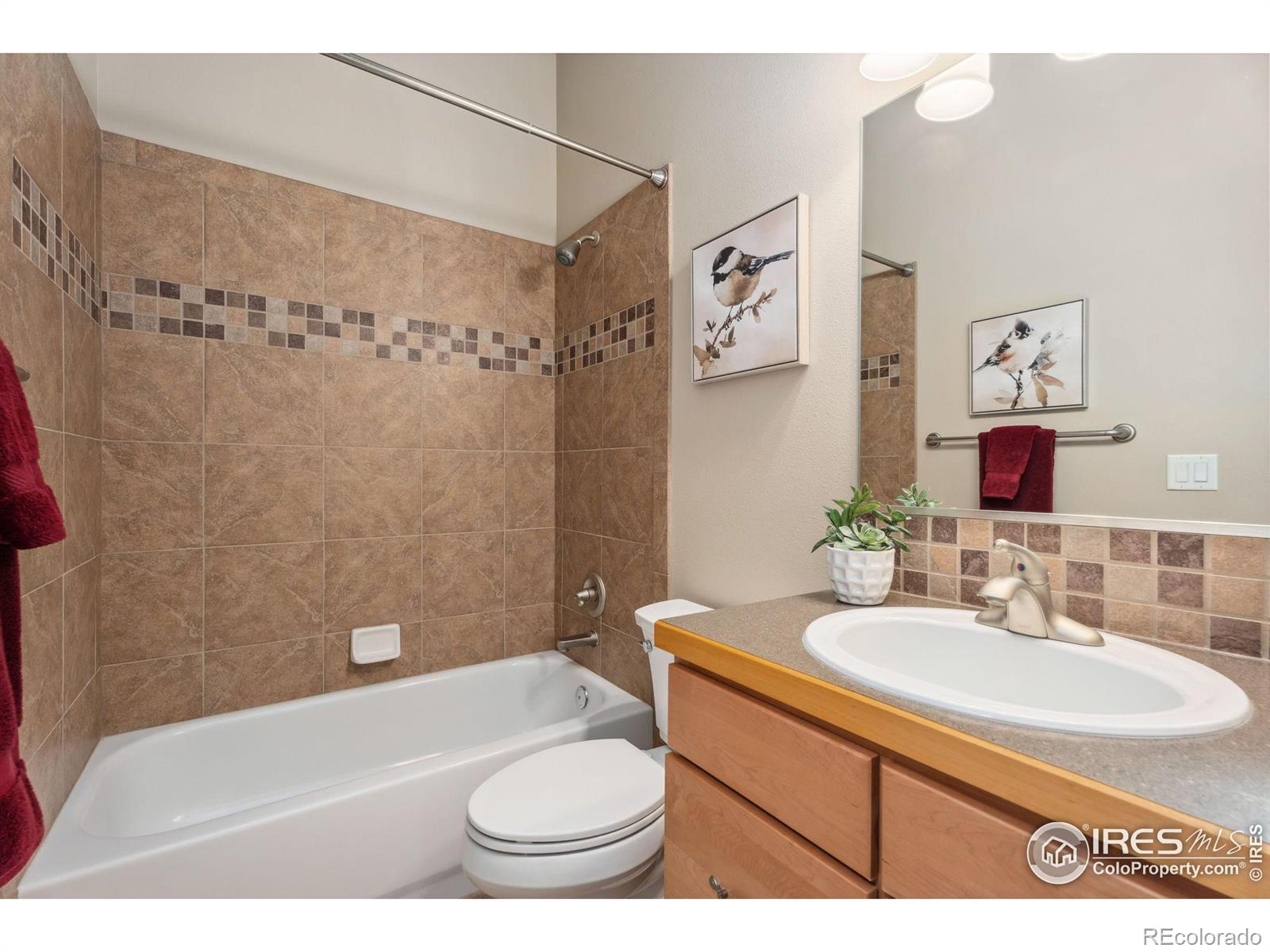 MLS Image #11 for 8277  annapolis drive,windsor, Colorado