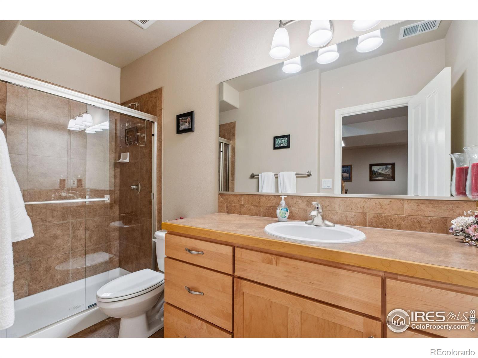 MLS Image #17 for 8277  annapolis drive,windsor, Colorado