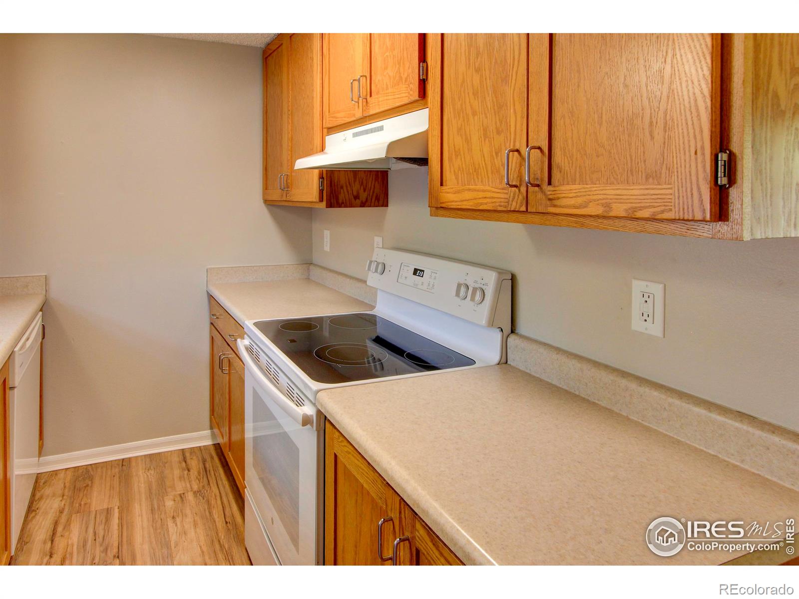 MLS Image #11 for 2741  harvard street,fort collins, Colorado