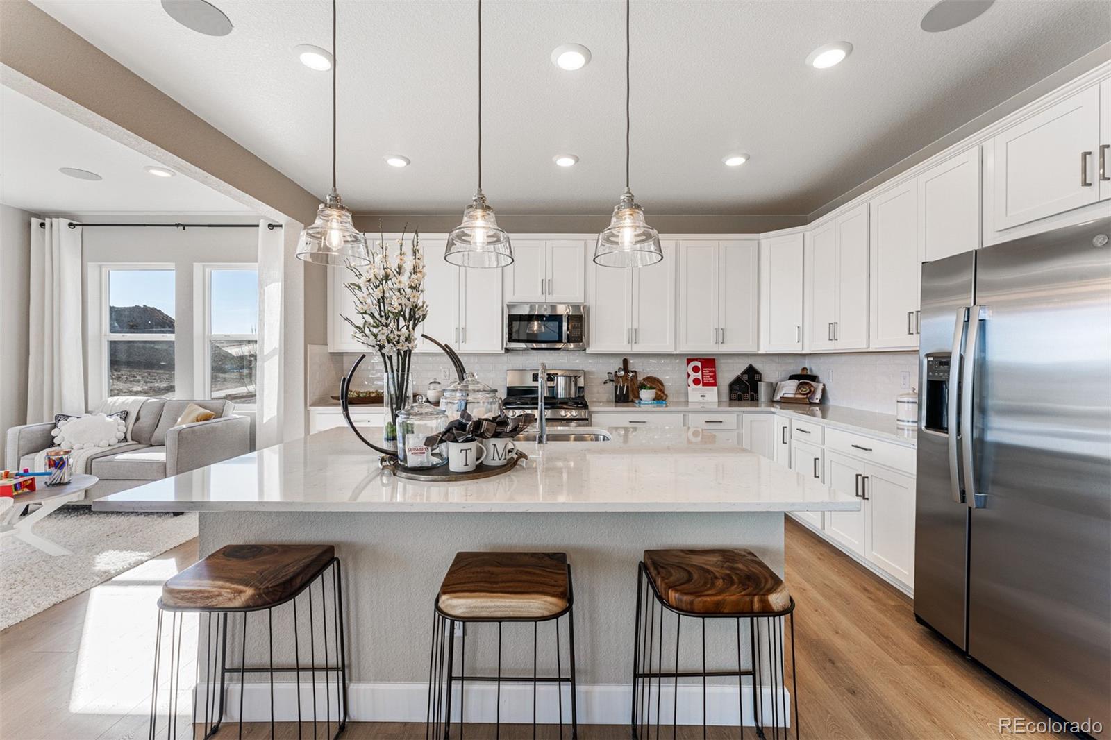MLS Image #16 for 4228  ridgewalk point,castle rock, Colorado