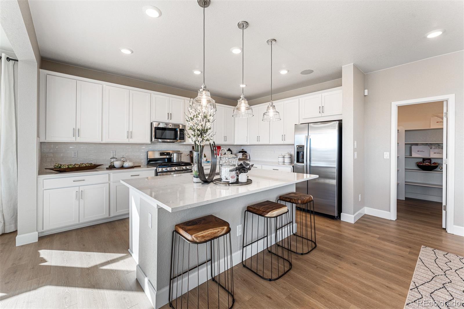MLS Image #17 for 4228  ridgewalk point,castle rock, Colorado