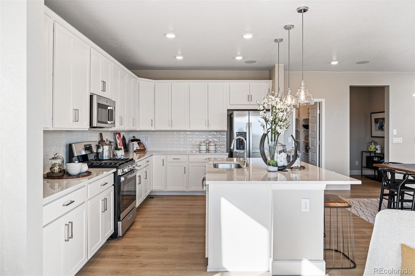 MLS Image #20 for 4228  ridgewalk point,castle rock, Colorado