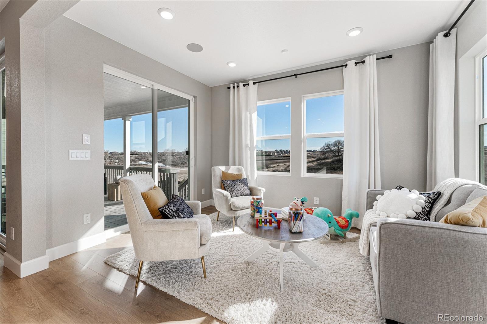 MLS Image #21 for 4228  ridgewalk point,castle rock, Colorado