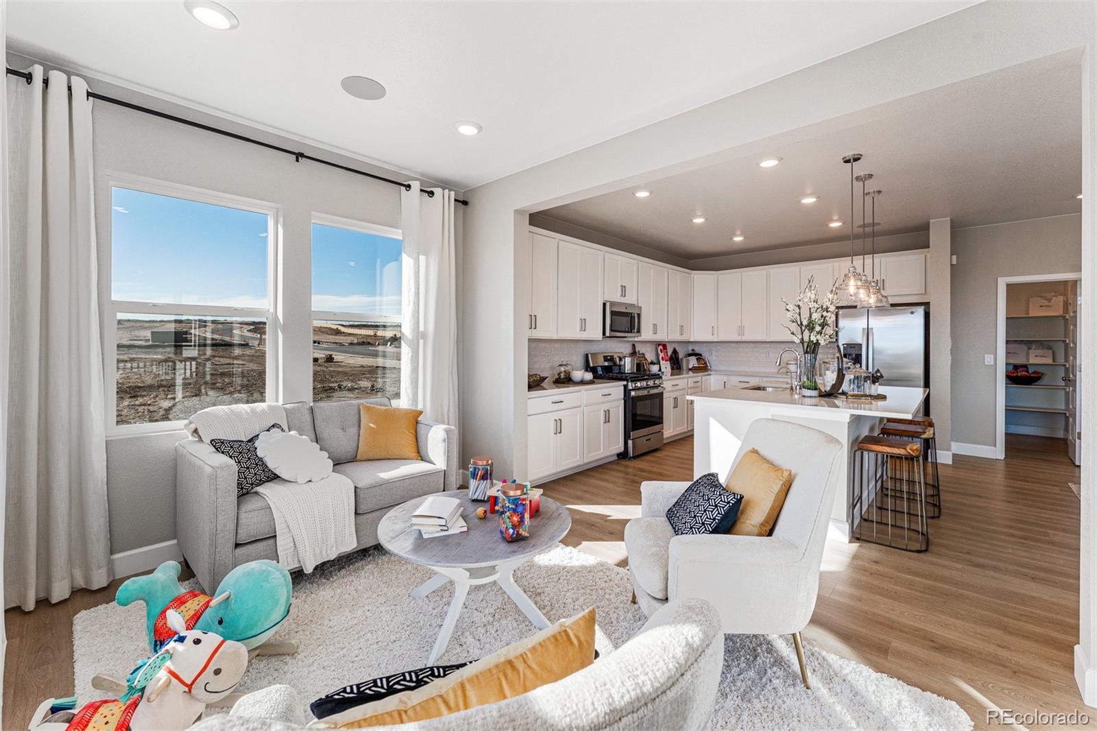 MLS Image #22 for 4228  ridgewalk point,castle rock, Colorado