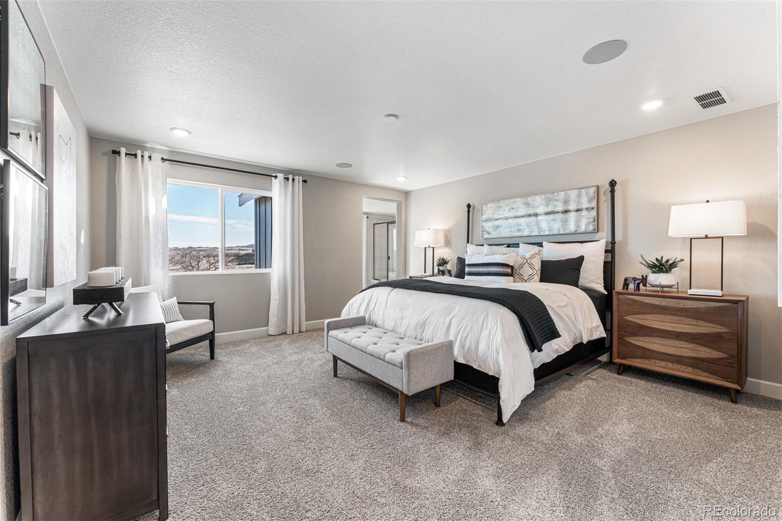 MLS Image #27 for 4228  ridgewalk point,castle rock, Colorado