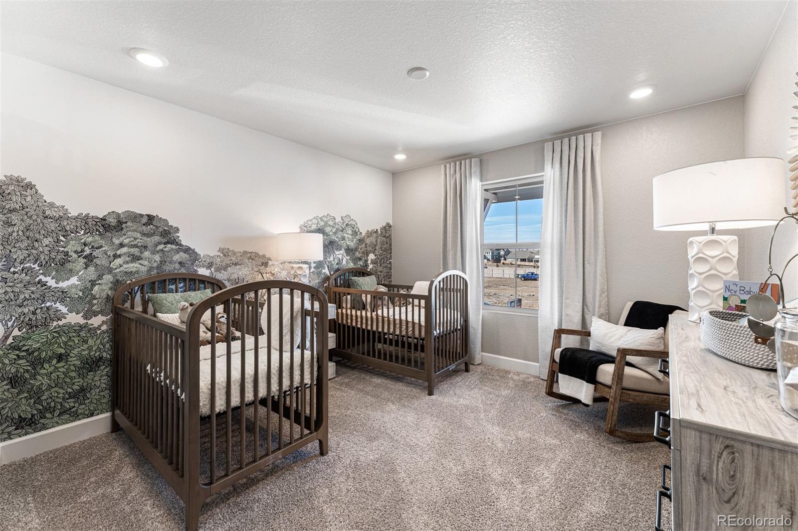 MLS Image #34 for 4228  ridgewalk point,castle rock, Colorado