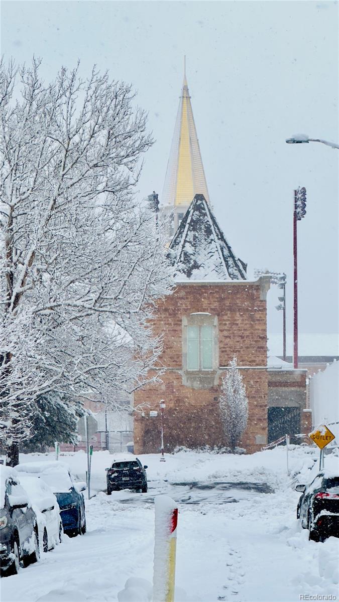 MLS Image #39 for 1743 s williams street,denver, Colorado