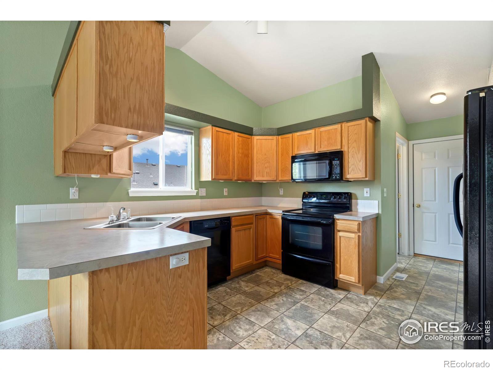 MLS Image #10 for 318  scotch pine drive,severance, Colorado