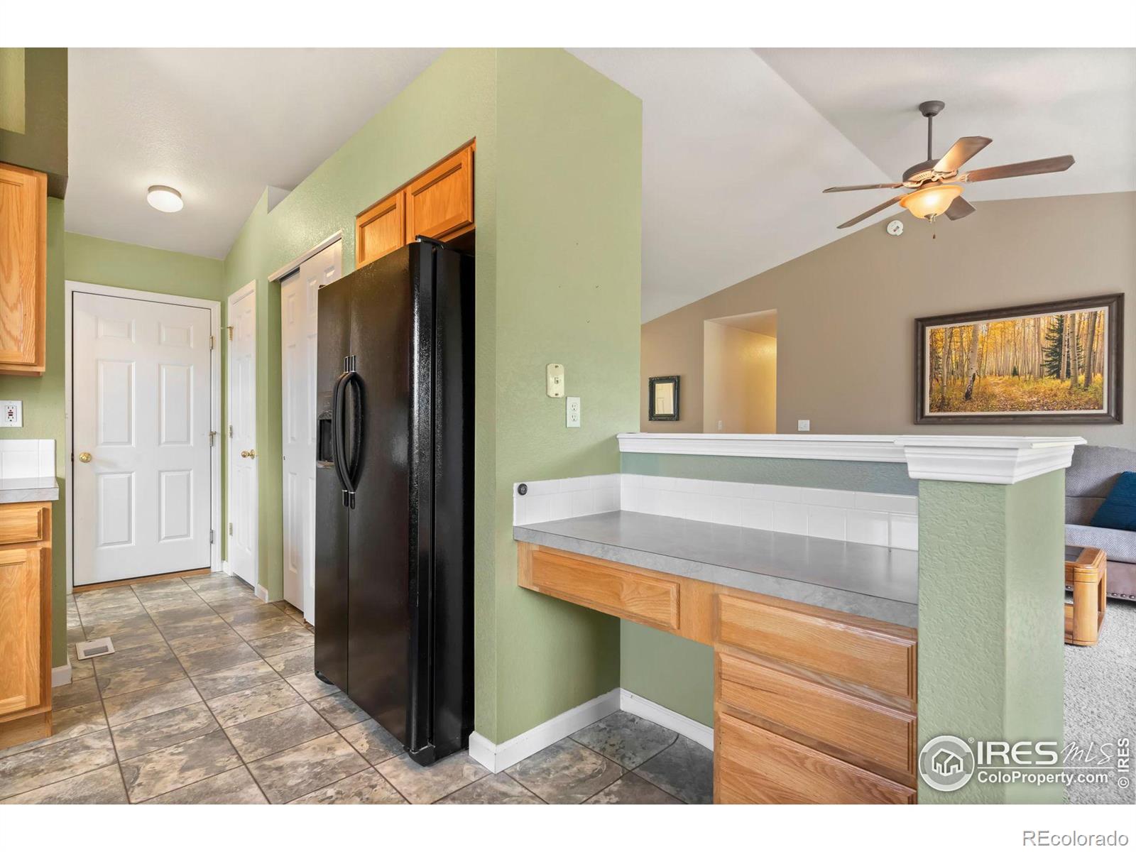 MLS Image #12 for 318  scotch pine drive,severance, Colorado