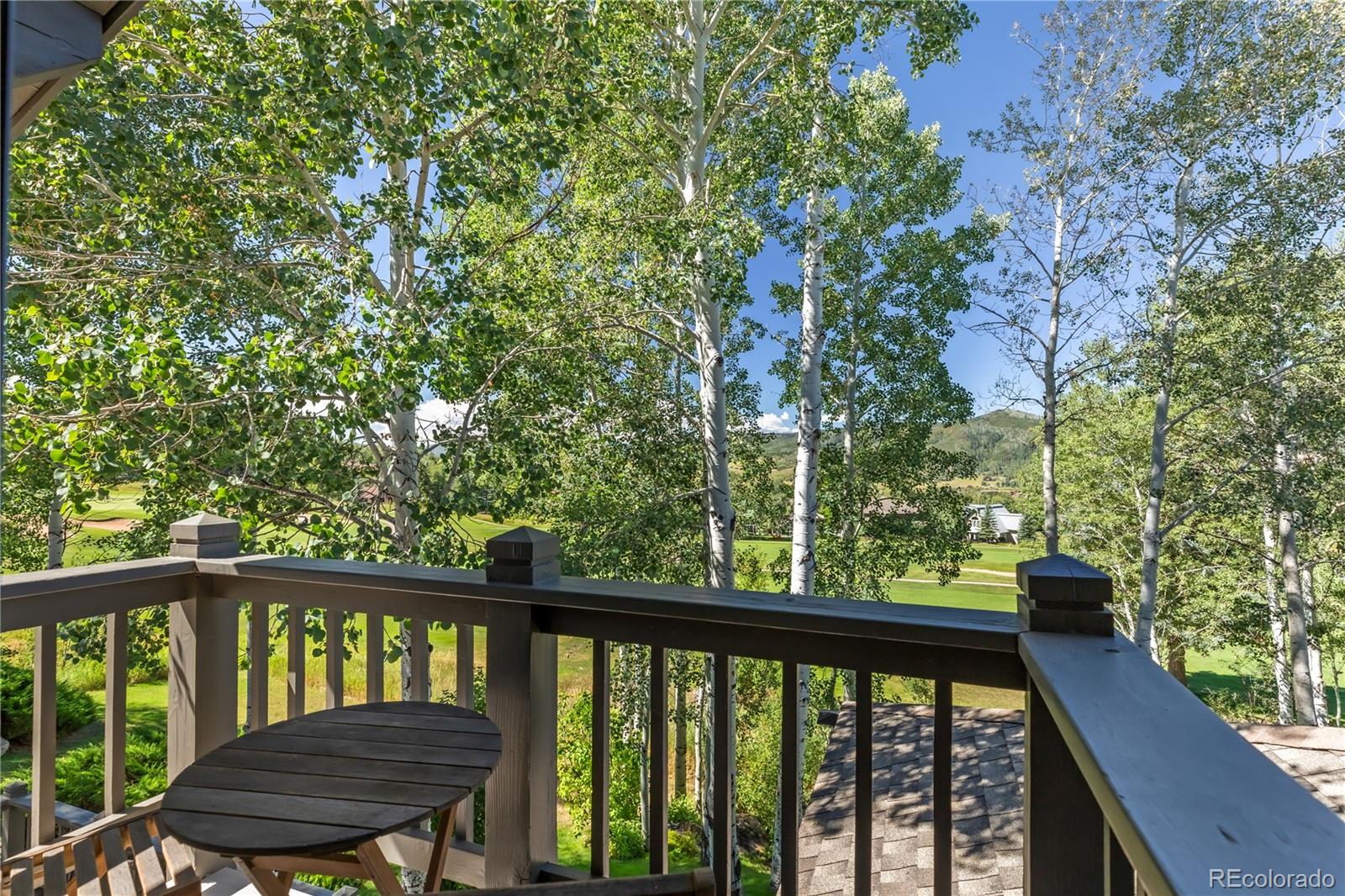 MLS Image #19 for 1737  highland way,steamboat springs, Colorado