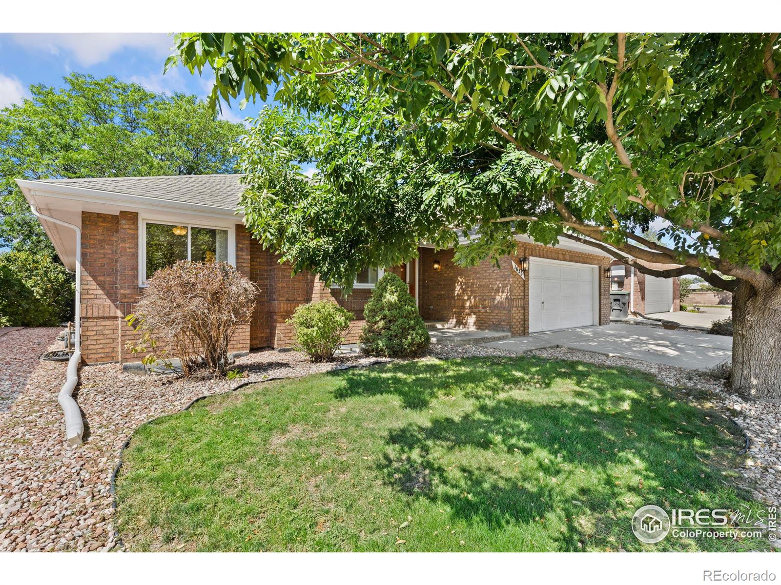 MLS Image #18 for 1633  francis way,longmont, Colorado