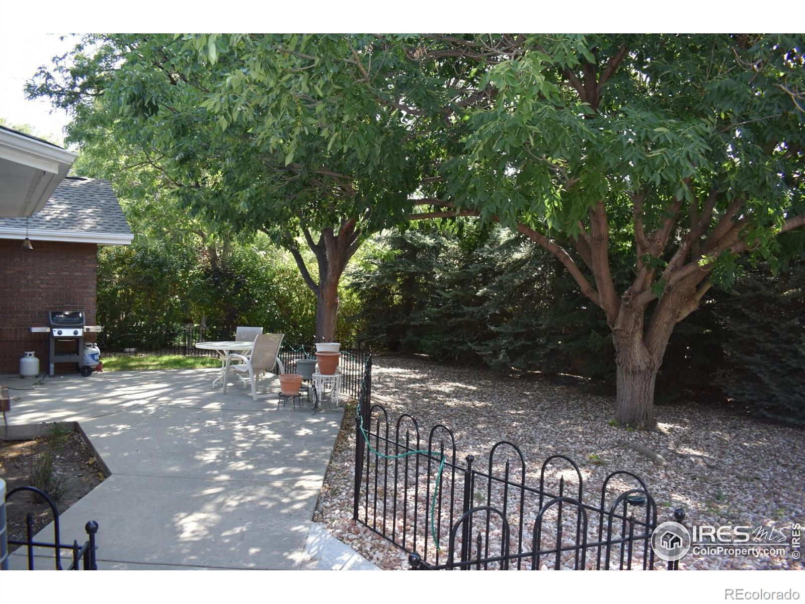 MLS Image #4 for 1633  francis way,longmont, Colorado