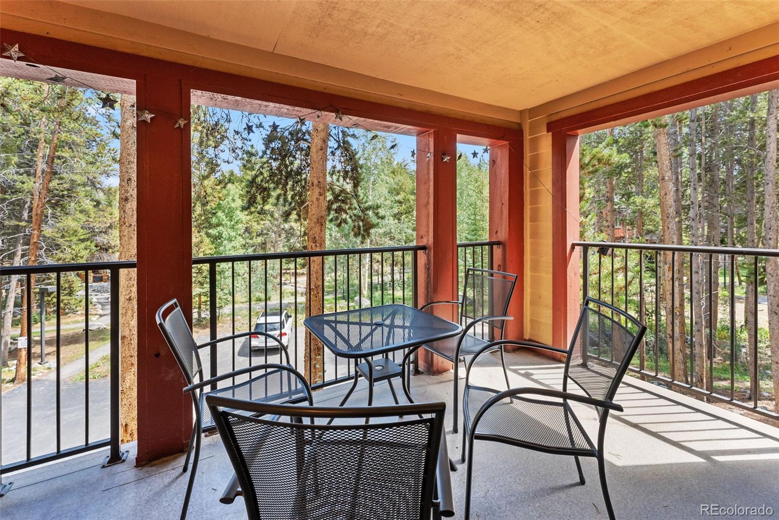 MLS Image #14 for 730  columbine road 32,breckenridge, Colorado